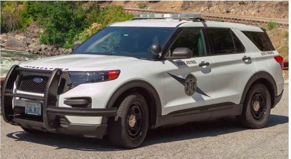 Нападение на патрульную и угон полицейской машины в Вашингтоне: подозреваемый задержан после погони